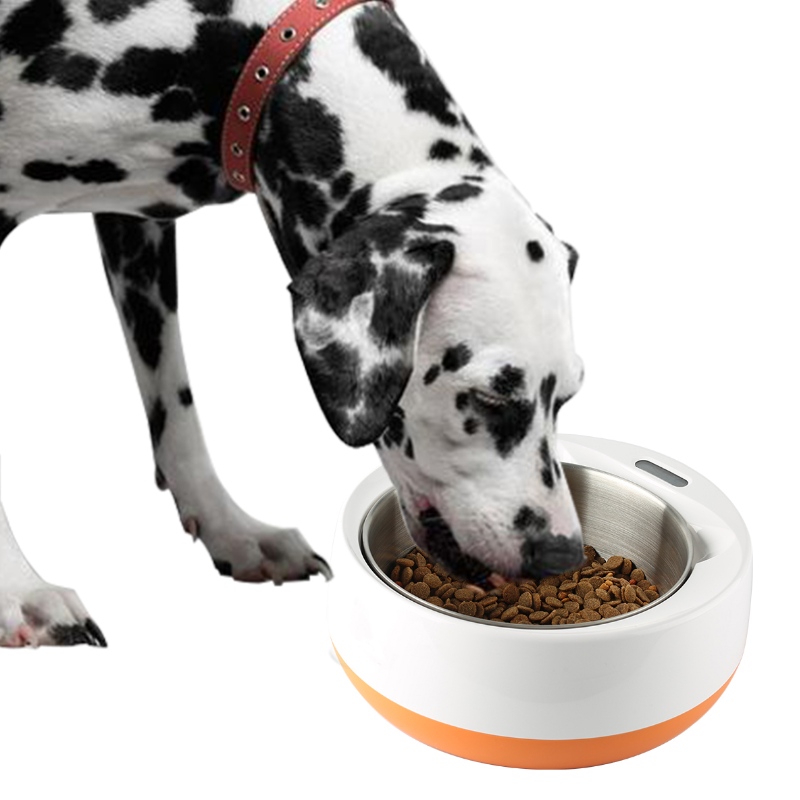 Smart Hrănire Pet Bowl