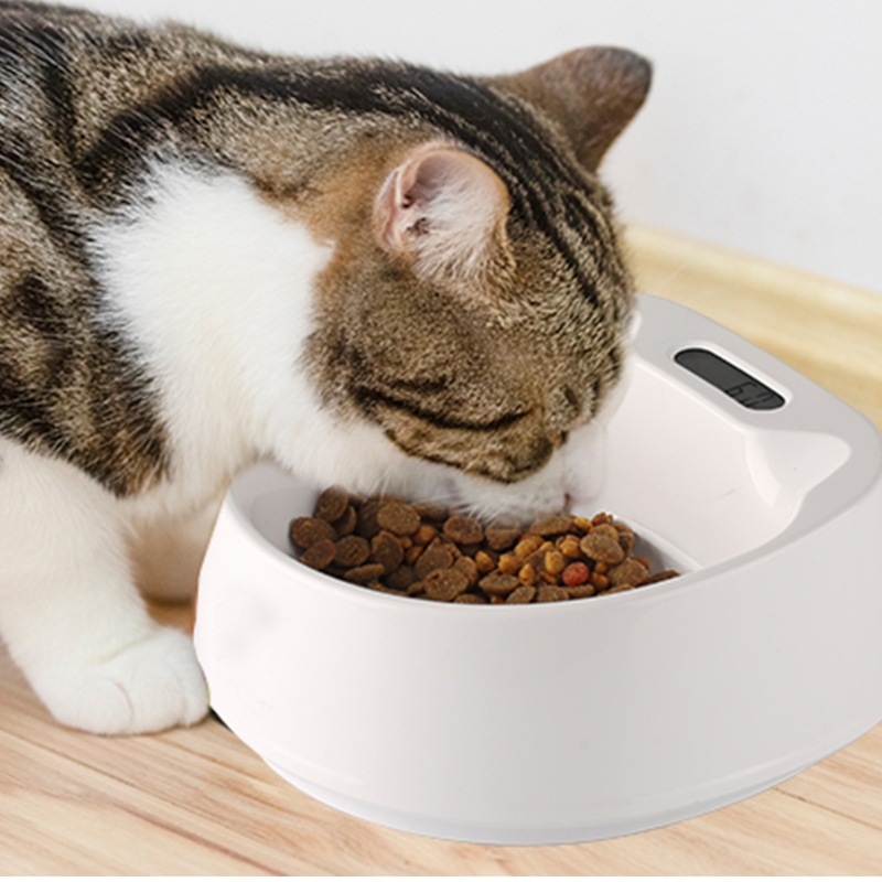 450ml Smart Hrănire Pet Bowl