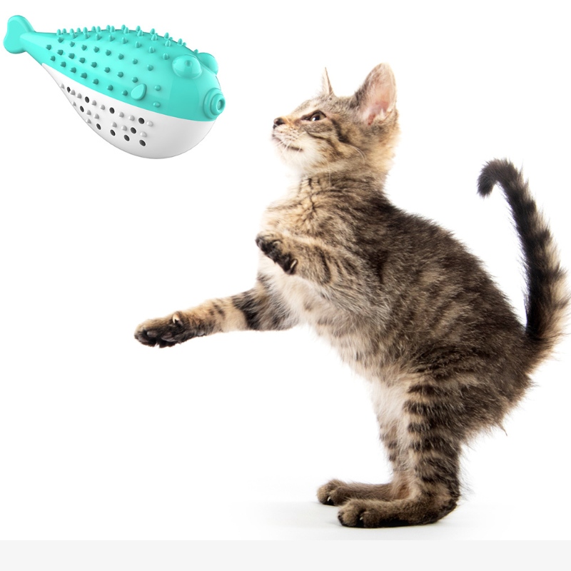Furjoyz en-gros amuzant Pet Jucarii Periubine de dinți Interactive jucărie portabilă pisică inteligentă curat dinți cauciuc catnip pisici jucărie