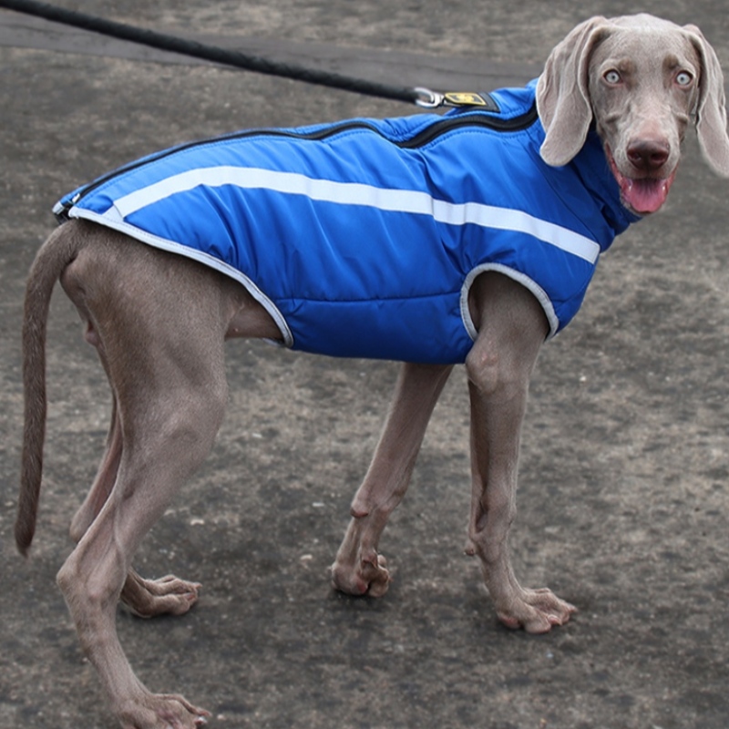 Producător cu ridicata în aer liber Stil rece Foarte reflectorizant Jachetă de câine Coats impermeabil