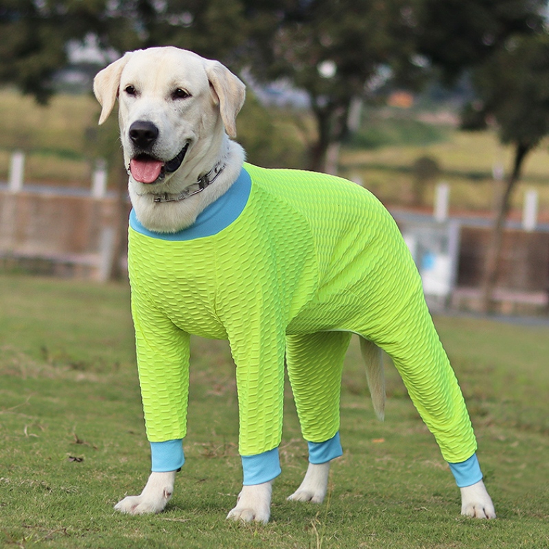 Frumoasă și durabilă Puppy Cuppy Curea, Harness Chest Dog, Îmbrăcăminte de câine în preț accesibil