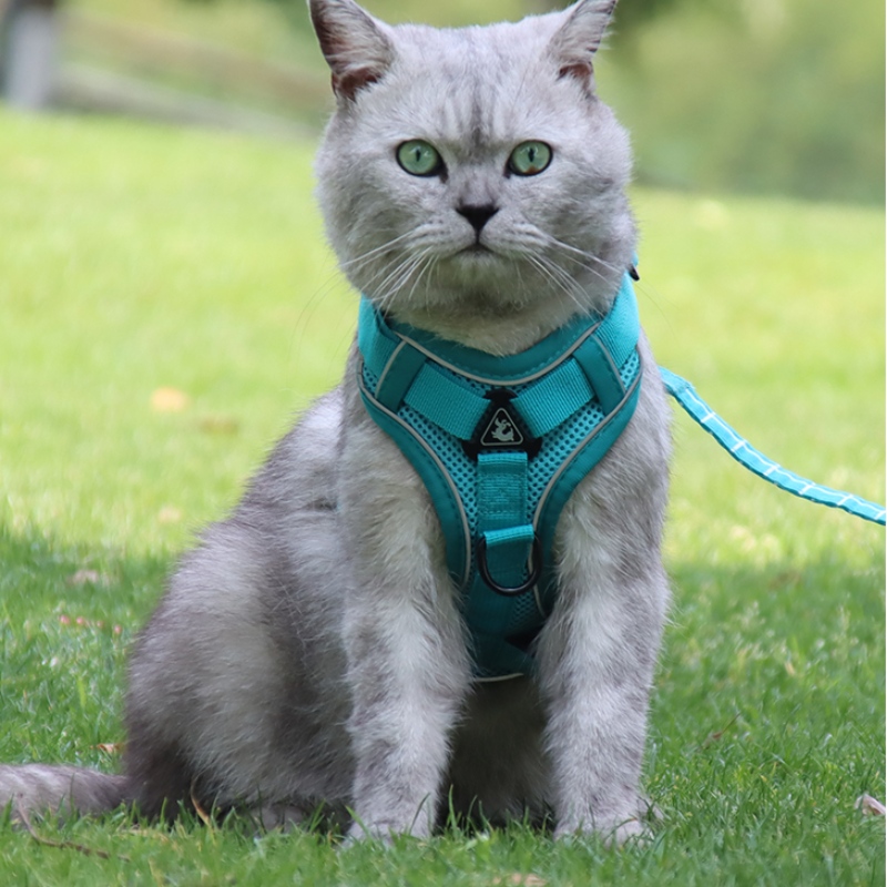 Moda PET Vesta Tip Tractare Curea de piept Cat Dog reglabil reglabil traction retractabilă Curgă de câine de mers pe jos Guler